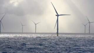 Offshore Wind Turbines Show Limited Bird Impact, Study Suggests