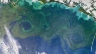 Scientists Urge Prudent Approach to Ocean Carbon Removal