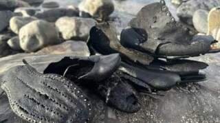 Centuries-Old Footwear Washes Ashore in Wales