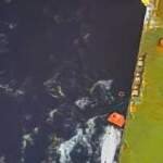 International Effort Rescues Solo Rower Off Puerto Rico