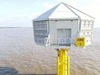 New UK Structures Aid Wildlife Amidst Offshore Wind Growth