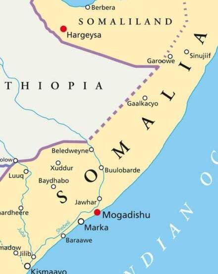 Somalia Terminates Key Agreements with United Arab Emirates