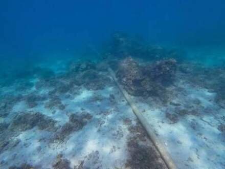 Vessel Detained in Finnish Subsea Cable Investigation