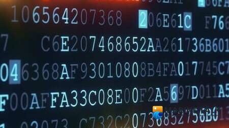 Coast Guard Addresses Accelerating Maritime Cyber Risks