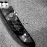 Coast Guard Thwarts Drug Smuggling Near Puerto Rico