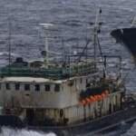 Rising Ocean Temperatures Stress Fish Populations