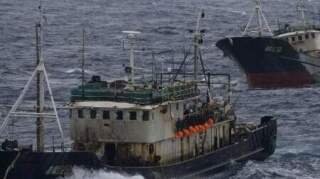 Rising Ocean Temperatures Stress Fish Populations