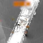 Allies Diverge from US on Hormuz Strategy