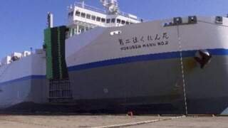 Japan Certifies First Autonomous RoRo Vessel